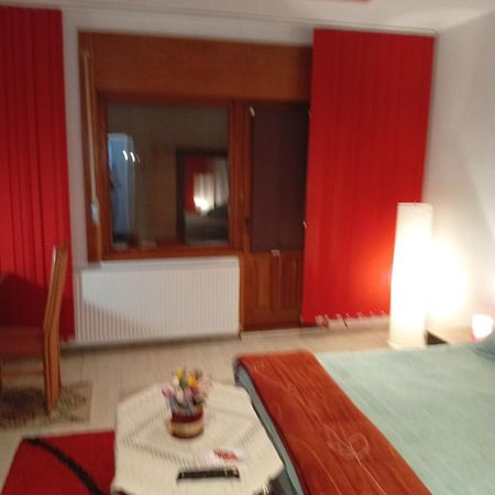 Apartament Cu Terasa La Casa Valentin تيميشورا المظهر الخارجي الصورة