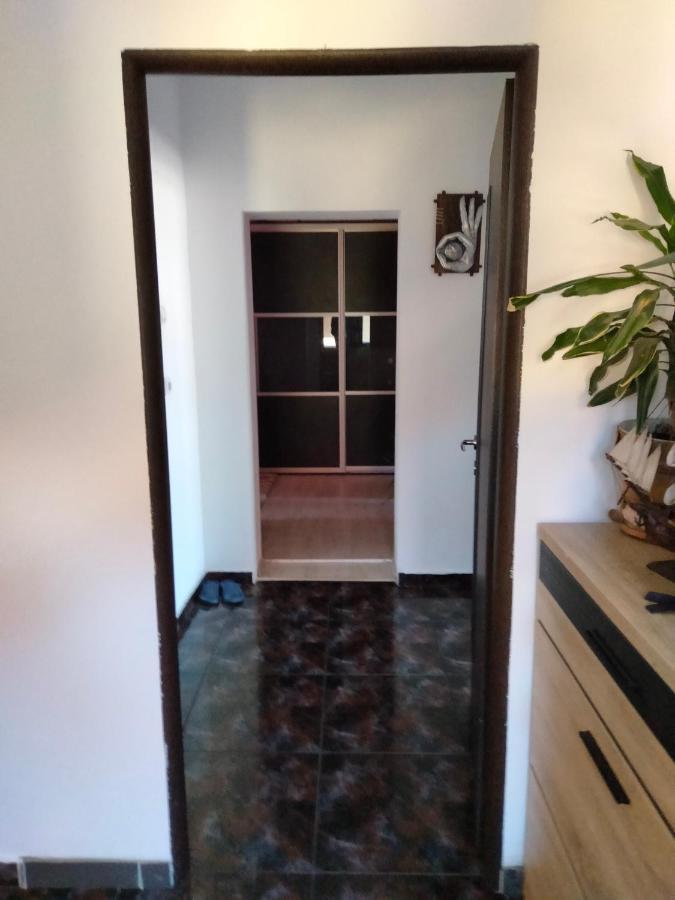 Apartament Cu Terasa La Casa Valentin تيميشورا المظهر الخارجي الصورة