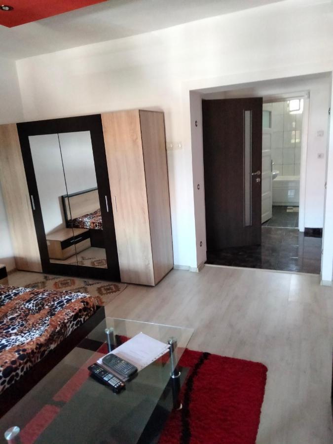 Apartament Cu Terasa La Casa Valentin تيميشورا المظهر الخارجي الصورة